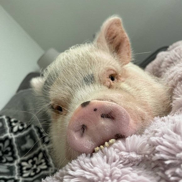 Why I Posh - Picture 14 of 16